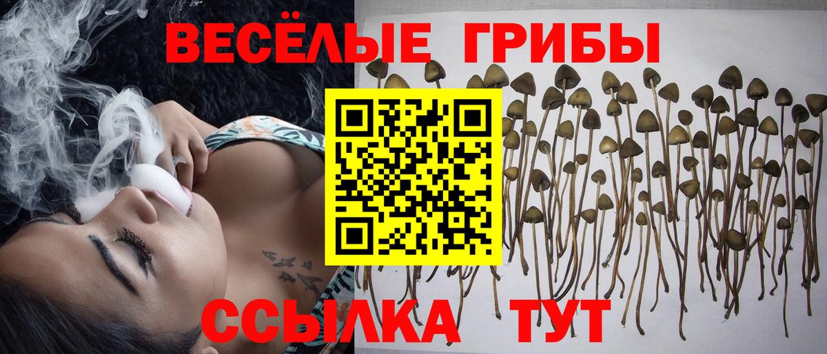 Ессентуки  Галлюциногенные грибы GOLDEN TEACHER  где можно купить   Вход с VPN 