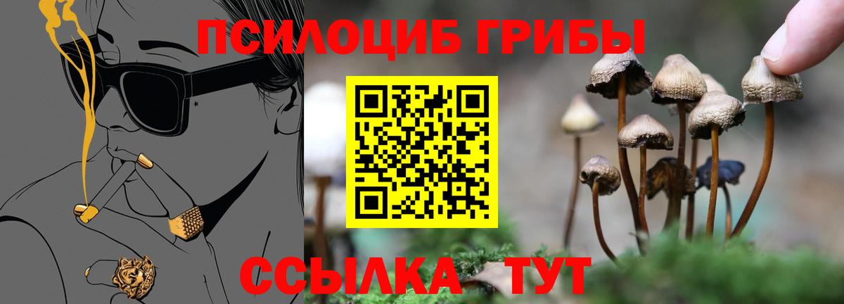 Псилоцибиновые грибы MAGIC MUSHROOMS Ессентуки